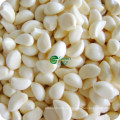 IQF Frozen Pure White Garlic Cloves in High Quality